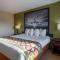 Super 8 by Wyndham Edmonton International Airport