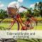 Elbe Boardinghouse