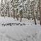 Tahoe Donner Mountain Cabin Surrounded by Forest! - 特拉基