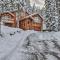 Tahoe Donner Mountain Cabin Surrounded by Forest! - Truckee