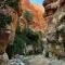 Adventure camping - Organized Trekking from Dana to Petra - دانا