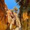 Adventure camping - Organized Trekking from Dana to Petra - دانا