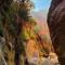 Adventure camping - Organized Trekking from Dana to Petra - دانا