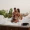 Cocli Hotel Boutique Salento