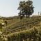 Weingut Assigal