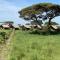 Amboseli Discovery Camp - Amboseli
