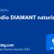 Studio DIAMANT naturiste