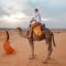 Desert Luxury Tented & Activities