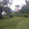 NoKo home