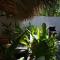Casa Mexibali, Suite Bali