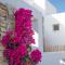The Summit of Mykonos