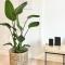 MAKERS and ROOMS APARTMENT 01 Pauline 110qm Parkplatz 1-4 Personen