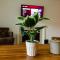 Mins to Broadway Large 2Br-2Ba family unit for up to 6 guests with Private Balcony and Optional private parking - Nashville