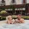 Hotel Medical Spa Malinowy Zdrój