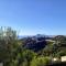 Altea Olivos G