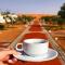 Desert Luxury Tented & Activities