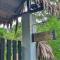 Amazona Lodge