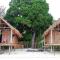 Coco Huts Guest House