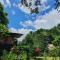 Amazona Lodge