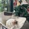 Follow Me designed B&B - Dongshan