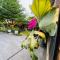 Follow Me designed B&B - Dongshan
