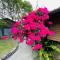 Follow Me designed B&B - Dongshan
