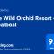 The Wild Orchid Resort - Moalboal