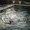 Reed Warbler - HM111 - Lower Mill Estate Penthouse Apartment with Spa Access