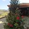 Casa Rural Los Olivos