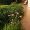 Lac dAnnecy T2 grand jardin