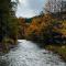 Catskills Quaint Cottage with Peloton Minutes from Hiking