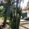 Tatys homestay