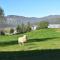 Glacier World - Hoffell Guesthouse