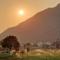 Hotel Divine Palace Pushkar