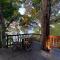 Cashewnut Cove