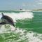 805 - Friendly Native Beach Resort - سانت بيتي بيتش
