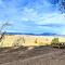 #3 Howling Wolf's Lair - Cabin W/Fireplace & Views - Santa Ysabel