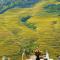 Lost In Beauty Guest House 龙脊梯田野望民宿 - Longsheng