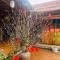 An Homestay Tam Coc
