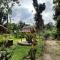 Wisma Batu Mandi and Jungle trekking