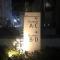 Condo Palm Tree 1 Across NAIA T3 - 马尼拉