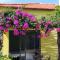 Chunlii Homestay