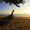 Niramaya Villa & Wellness
