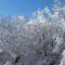 Monolocale Il Capriolo - Abetone - 阿贝托内
