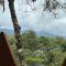 Coorg Jungle Mist