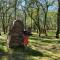 Lodges du Bois Dodo