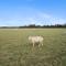 Chickens, great walks & local pubs, Games Room and Free Parking