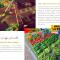 Ô Ti Lodge Vanilla