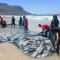 Luxury Modern House Western Cape Fish Hoek