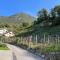 Violet-Sky Bellinzona
